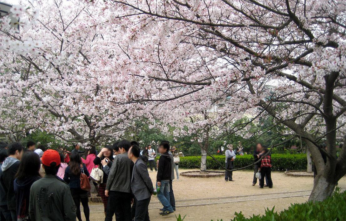 大學(xué)校園景觀規(guī)劃設(shè)計圖片