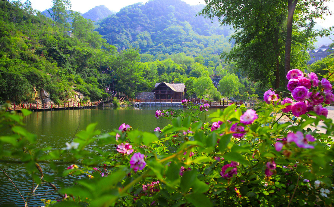 森林公園植物景觀設(shè)計(jì)圖片